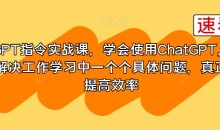 GPT指令实战课,学会使用ChatGPT,解决工作学习中一个个具体问题,真正提高效率