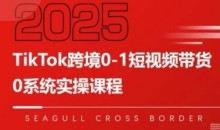 大亿老师TikTok跨境0-1短视频带货,系统拆解TikTok跨境带货全链路,实现跨境可持续盈利