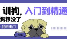 训狗初级中级高级 入门到精通视频课程