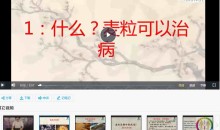 中医麦粒灸视频课程16集