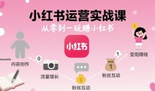 小红书运营实战课,从零到一玩賺小红书
