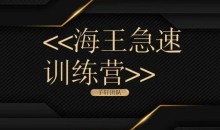 子轩团队《海王急速训练营》