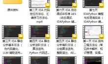 7天打造IDA9.0 大师:从零基础到逆向精英(价值299元)