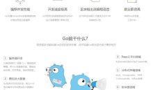 老男孩带你21周搞定Go语言