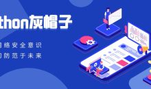 Python灰帽子网络安全实践