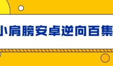 小肩膀安卓逆向百集完整版