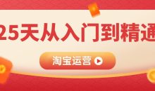 淘宝运营25天从入门到精通