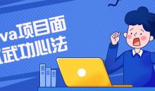 Java项目面试武功心法课程
