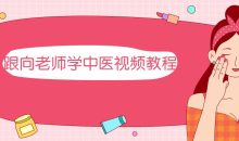 跟向老师学中医视频教程
