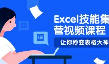Excel技能集训营视频课程