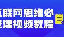 互联网思维必修课视频教程