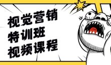 视觉营销特训班视频课程