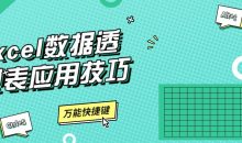 Excel数据透视表应用技巧