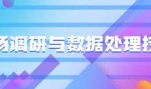 市场调研与数据处理技术