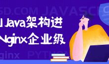 2021 Java架构进阶 Nginx企业级