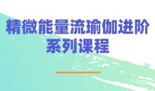 精微能量流瑜伽进阶系列课程