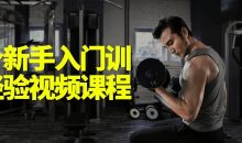 健身新手入门训练经验视频课程