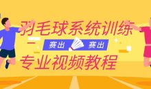 羽毛球系统训练专业视频教程