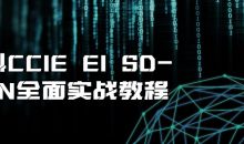 思科CCIE EI SD-WAN全面实战教程