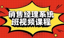 销售经理系统班视频课程