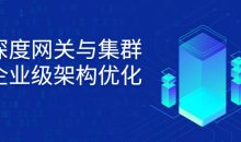 深度网关与集群企业级架构优化