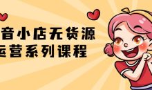 抖音小店无货源运营系列课程