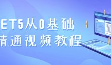 .NET5从0基础到精通视频教程