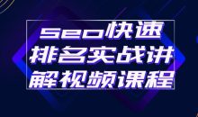 seo快速排名实战讲解视频课程