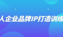 个人企业品牌IP打造训练营