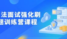 算法面试强化刷题训练营课程