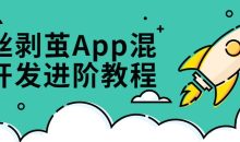抽丝剥茧App混合开发进阶课