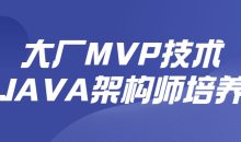 大厂MVP技术JAVA架构师培养
