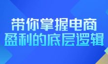 带你掌握电商盈利的底层逻辑