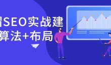 白帽SEO实战建站+算法+布局