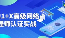 华为1+X高级网络工程师认证实战