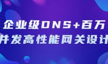 企业级DNS+百万并发高性能网关设计