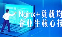 Nginx+负载均衡企业生核心技术