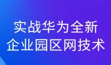 实战华为全新企业园区网技术