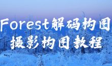 Forest解码构图摄影构图教程