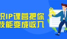 知识IP课营把你的技能变成收入