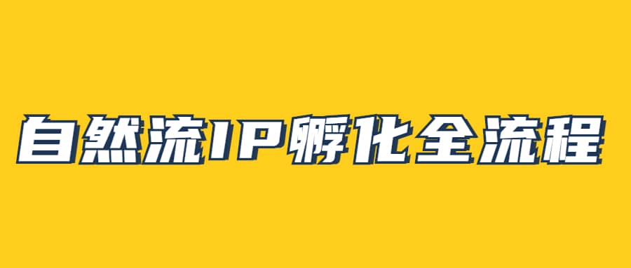 自然流IP孵化，系统掌握IP孵化全流程