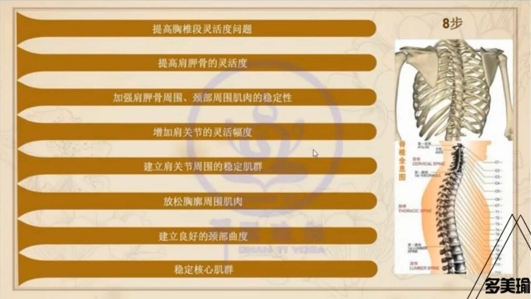 王媚-调理肩颈背酸痛,告别塌腰驼背大宽肩