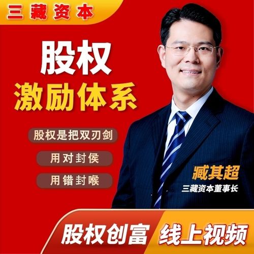 臧其超:股权激励体系(爆款视频课)