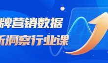 品牌营销数据分析洞察行业课