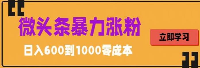 微头条暴力涨粉技巧搬运文案就能涨几万粉丝,简单0成本,日赚600【揭秘】