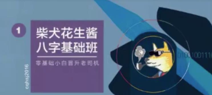 柴犬花生酱八字基础班送速成