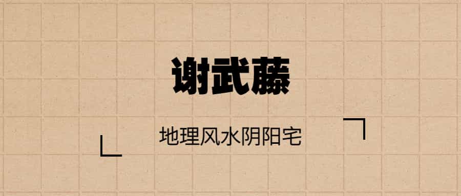 谢武藤-地理风水阴阳宅 48集视频