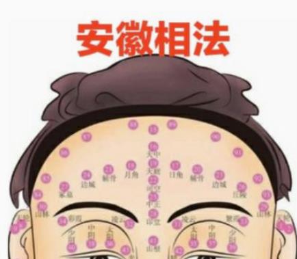 安徽相法秘籍初级中级高级合集教程