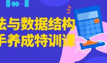 算法与数据结构高手养成特训课