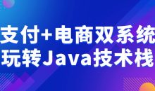 支付+电商双系统玩转Java技术栈